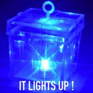 Blue Sparkle Weight