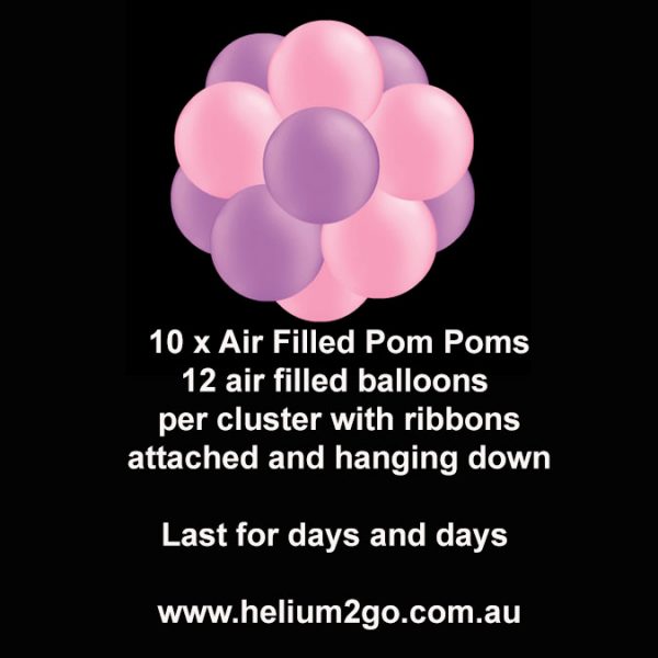 10-x-Air-filled-pom-poms 10-x-Air-filled-pom-poms