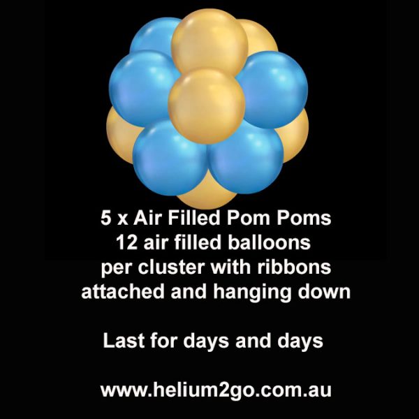 5-x-Air-filled-pom-poms 5-x-Air-filled-pom-poms
