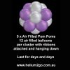 5-x-Air-filled-pom-poms2 5-x-Air-filled-pom-poms2
