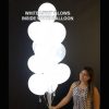 White light inside white balloon inflated White light inside white balloon inflated
