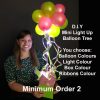 DIY Mini light up balloon tree2